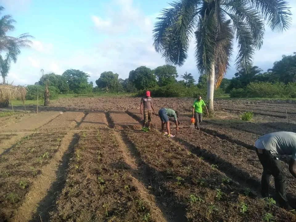 AGRO-Ecologie du Grand-Nord -COMMITEE