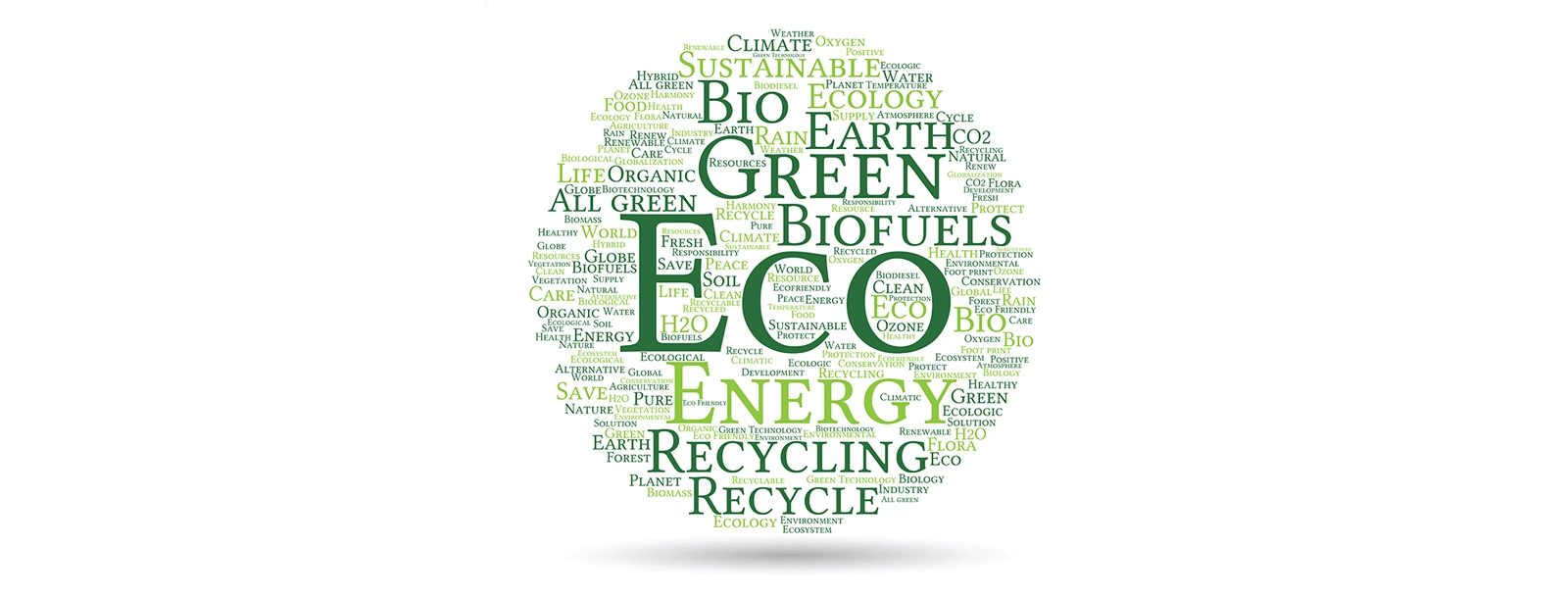 Eco-charcoal briquettes