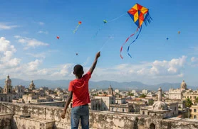 Kites in the sky