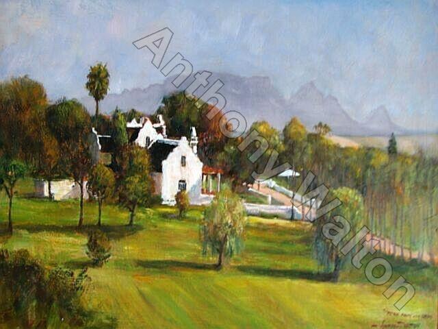 Stellenbosch Homestead